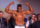 WBC rank “One-Fight-Wonder”, Ngannou amongst the big boys