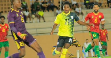 indomitable Lions defeat Uganda Cranes 3-0 in June Friendly