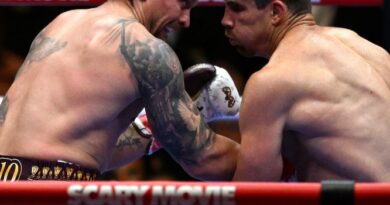 Usyk Survives Major Scare To Stop Verhoeven In 11th-Round Finish